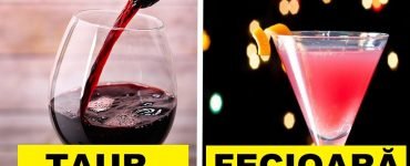 zodie cocktail