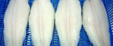 file de pangasius