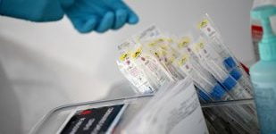 profimedia 0508805606