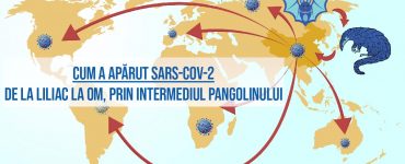 feature sars cov 2 mutatii tulpini origine