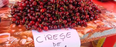 cirese de mai 02694300