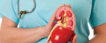 KIDNEY 2108 d