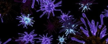 virus recomandari 600x375 1