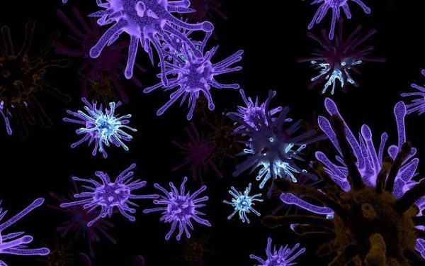 virus recomandari 600x375 1