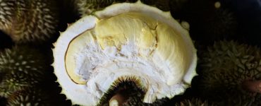 fructul minune care inlocuieste carnea emana un miros puternic dar este delicios 667850