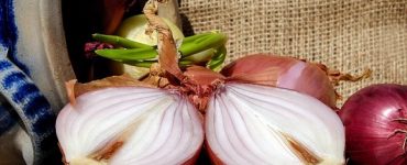 onions 2147153 640