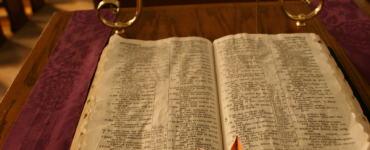 remedii naturale biblie