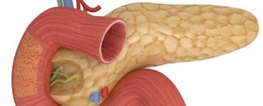 pancreasul organul vital de care trebuie sa avem mare grija 8 semne ale unui pancreas bolnav