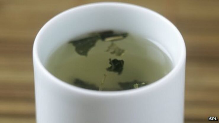 72253035 japanese sencha green tea spl 1