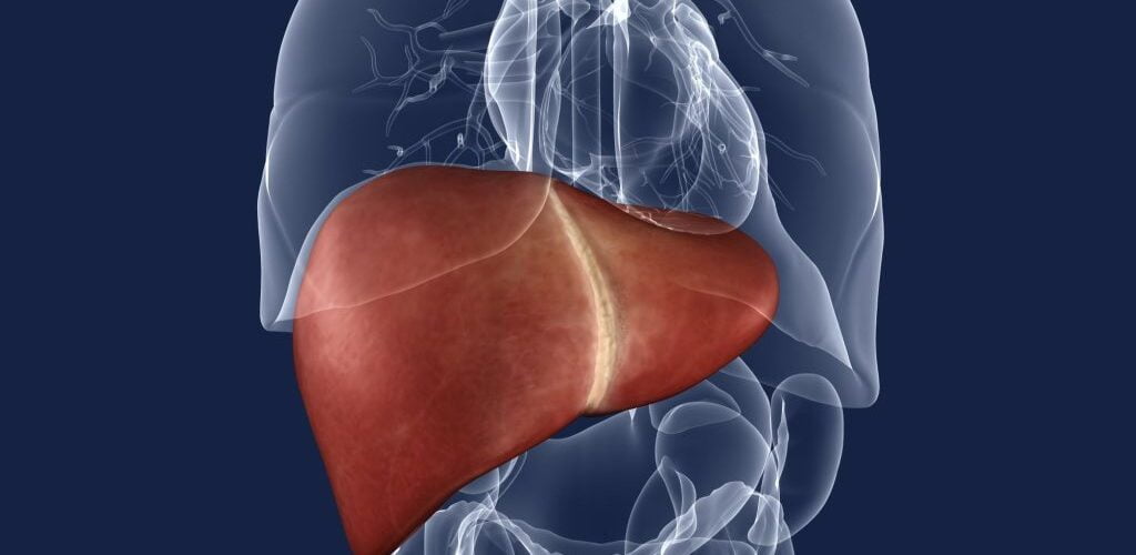 Ce semne dă ficatul gras și de multe ori trec neobservate