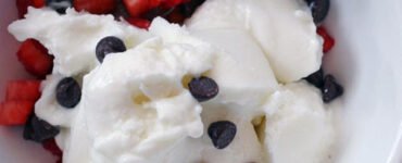 homemade frozen yogurt web1