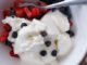 homemade frozen yogurt web1