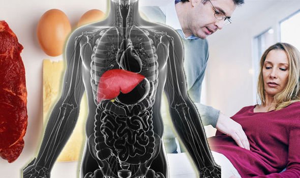 Liver disease Too little protein can damage the liver 784445