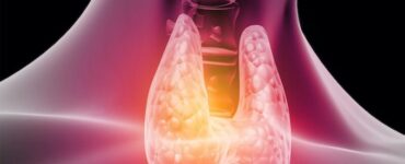 THYROID IMAGE 800x500 c
